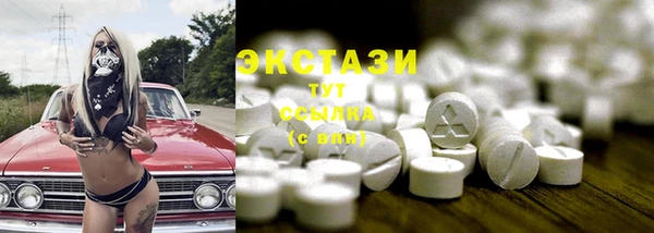 apvp Рославль