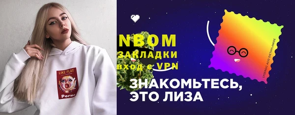 шишки Алзамай