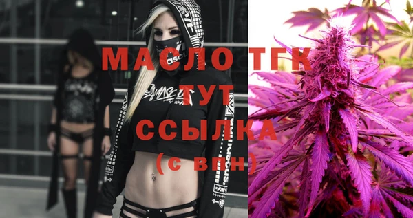 apvp Рославль